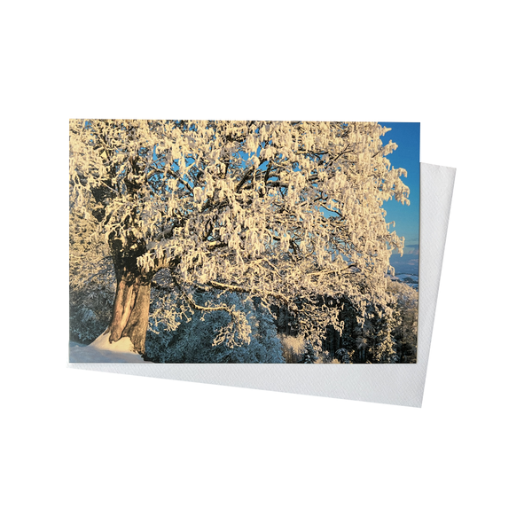 Greeting Card - Snowy Tree