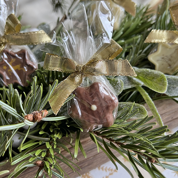 Display Weihnachtsstern Crisp-Nougat in Cello